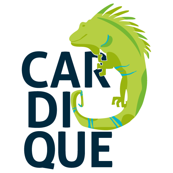 Cardique